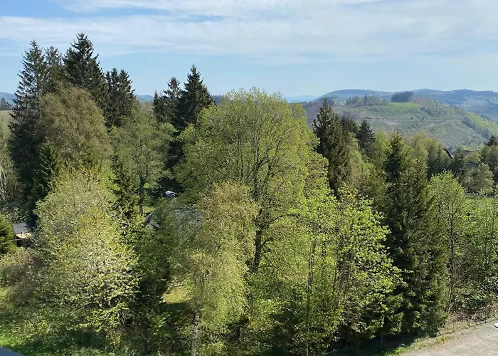 Bergluft Am Bikepark, Skilift, Ssc Apartment *