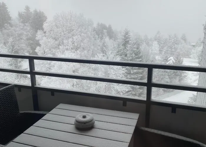 Bergluft Am Bikepark, Skilift, Ssc Apartment